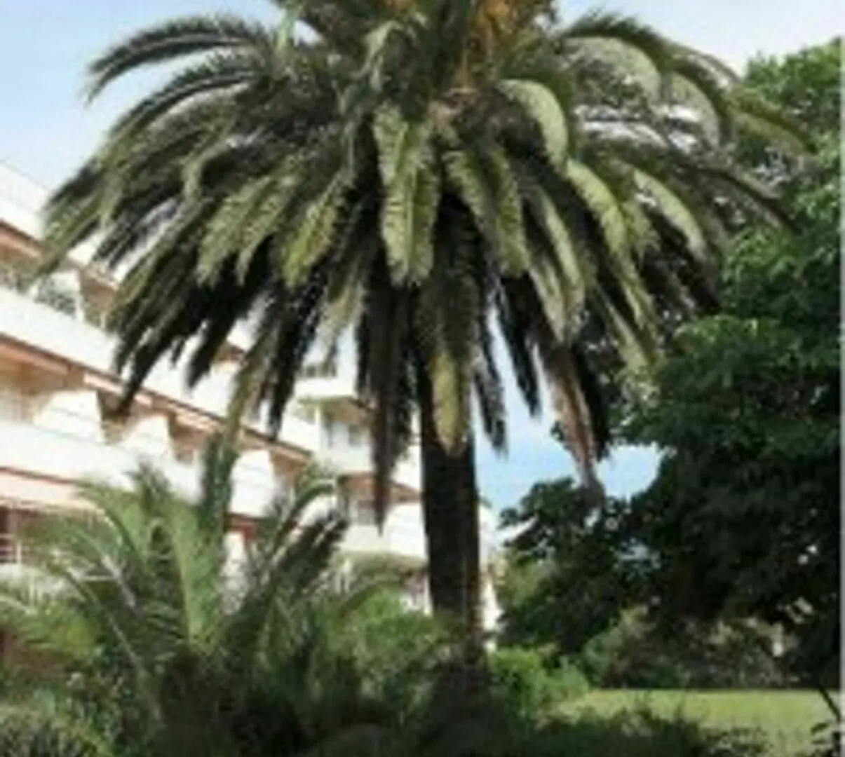 Apartmán Studette In Saint-Tropez, With Wonderful Park View And Pool Access - 8